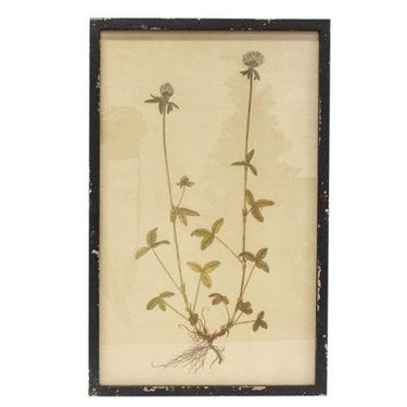 Headly Garden Botanical Print # 3 - The Fox Decor